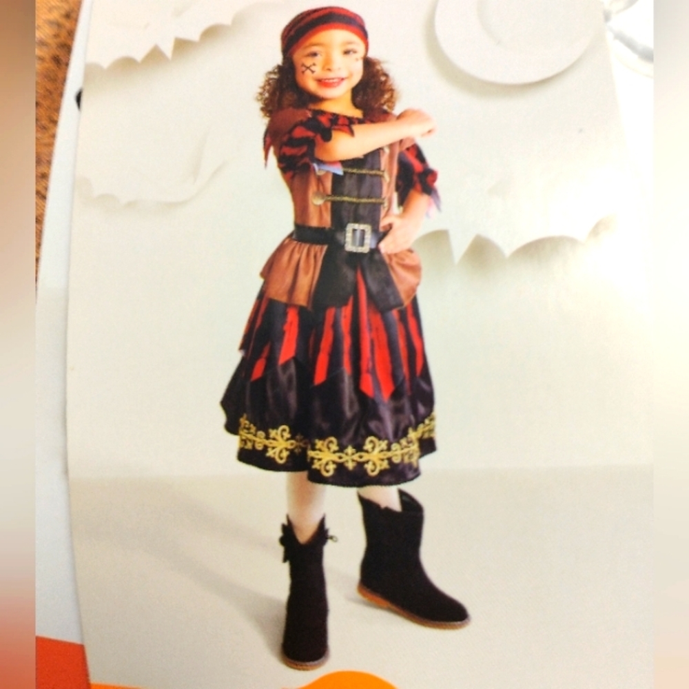 SWASHBUCKLING PIRATE HALLOWEEN COSTUME